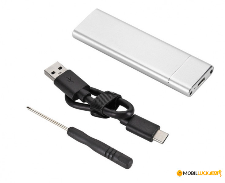    M.2  Type-C USB 3.1 (F) Gen2, 10 Gb/s, 2TB, B key NGFF Silver (S1013)