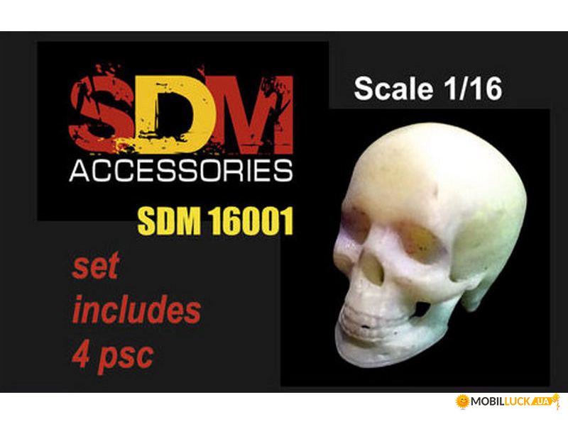   .  , 4 . DAN models (DAN-SDM16001)