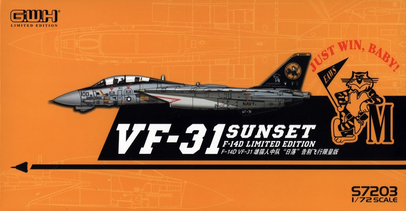 - US Navy F-14D VF-31   Greatwall Hobby (GWH-S7203)