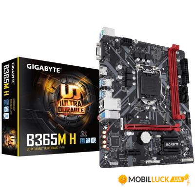   Gigabyte B365M H