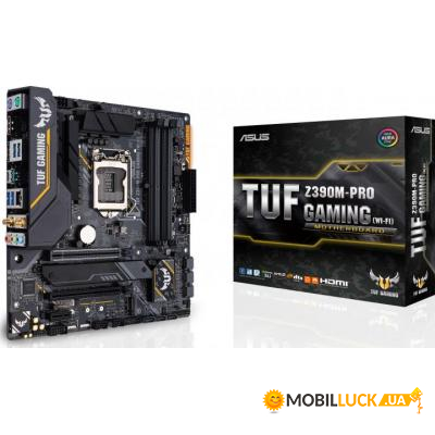 c  ASUS (TUF_Z390M-PRO_GAMING)