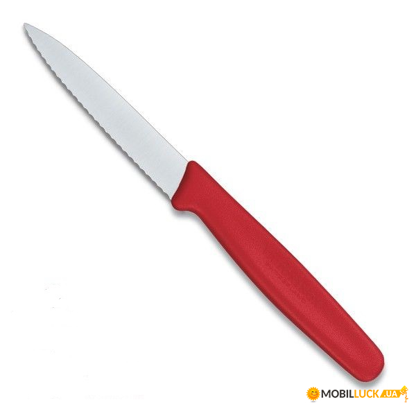   Victorinox Paring 100   (5.0731)