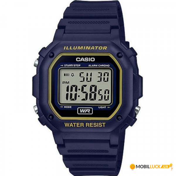  Casio F-108Wh-2A2Ef (391474) 202419