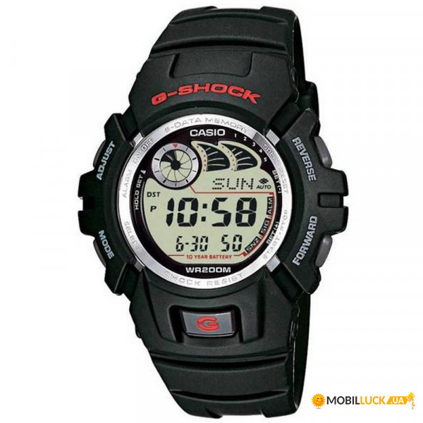  Casio G-Shock G-2900F-1 (255148) 202432