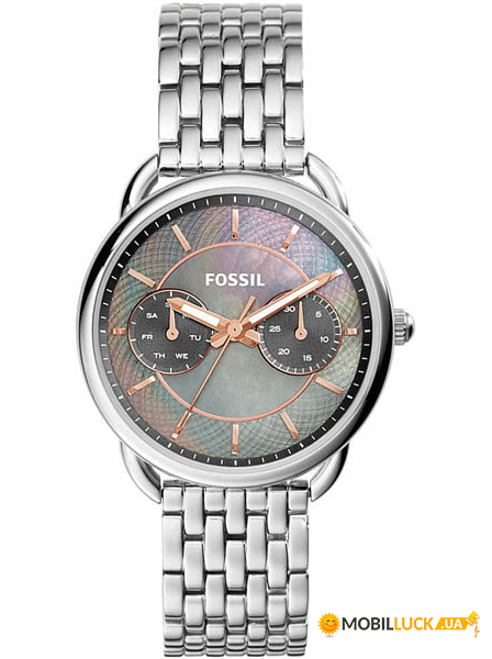   Fossil ES3911