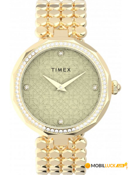   Timex Asheville Tx2v02500