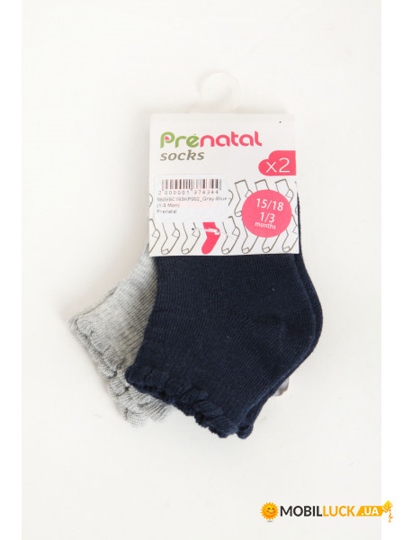   Prenatal 1-3 Months (S509SC183KP002_Gray-Blue) 