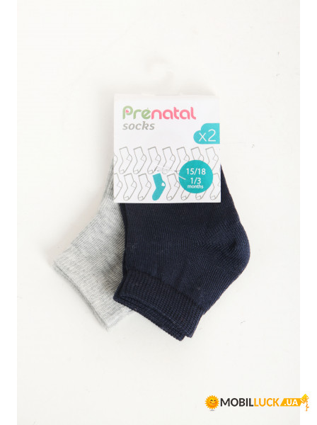   Prenatal 3-6 Months (CO3S12ANM_Gray-Blue) 