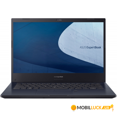  Asus ExpertBook P2 P2451FA-EK2317 (90NX02N1-M31780)