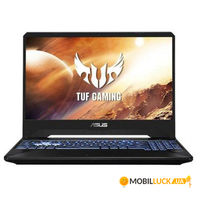  Asus FX505DU (FX505DU-AL069)