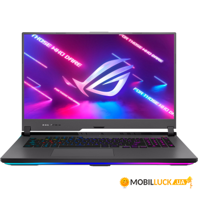  Asus ROG Strix G17 G713IE-HX014 (90NR05B2-M001Y0)