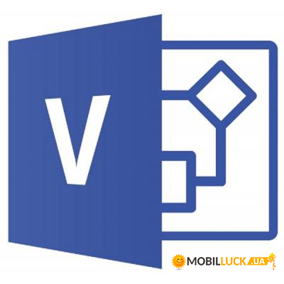   Microsoft Visio Standard 2019 (DG7GMGF0F4JZ_0002)