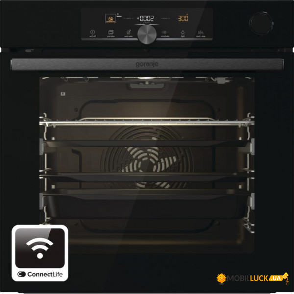   Gorenje BPSA6747A08BGWI