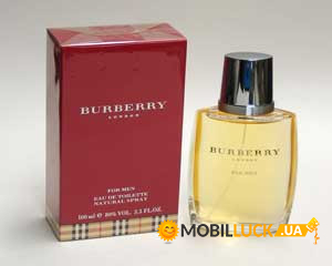   Burberry Men 100ml ()