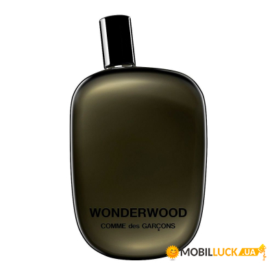   Comme Des Garcons Wonderwood 100  (8411061707821)