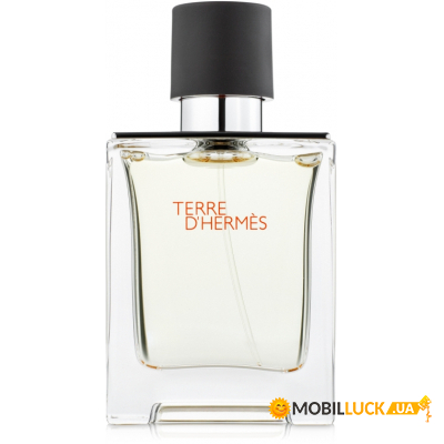   Hermes Terre d'Hermes  100  (3346131400027)