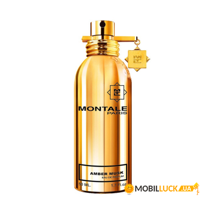   Montale Amber Musk 50  (3760260456678)