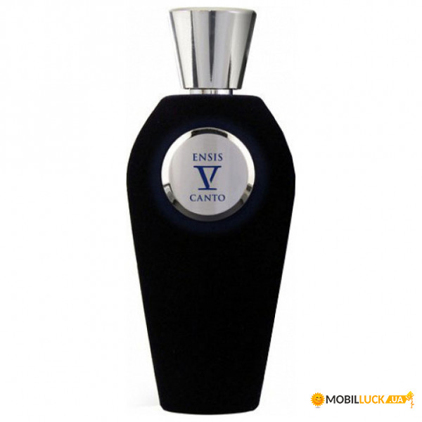   V Canto Ensis   100 ml tester