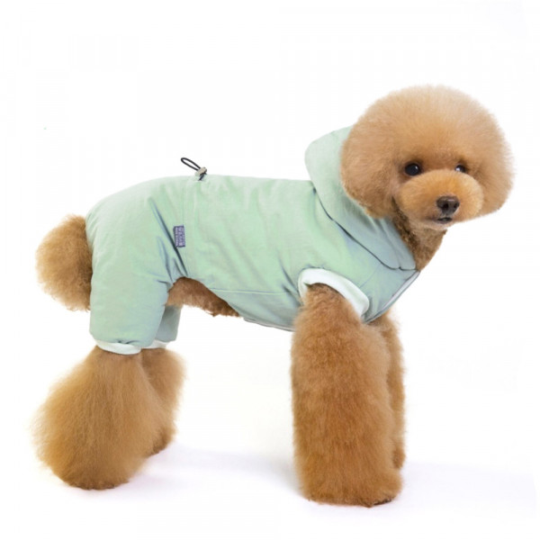    Dog Baby Lovely S Mint L Dog Baby 	 876434060