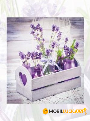  EVG 20sheet S29x32 LAVENDER