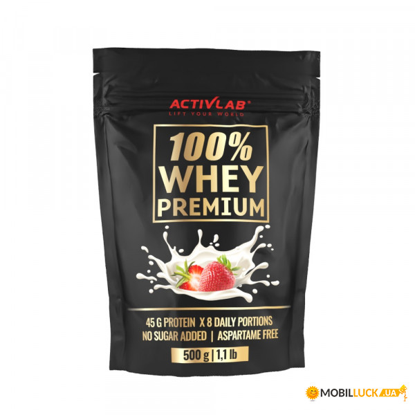   Activlab 100 Whey Premium 500  