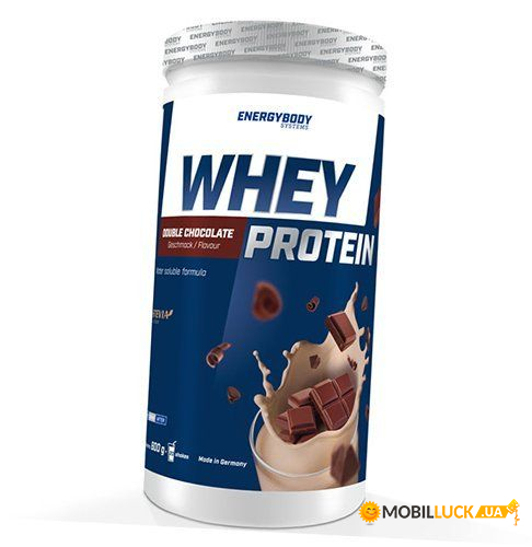     Energy Body Whey Protein 600   (29149004)