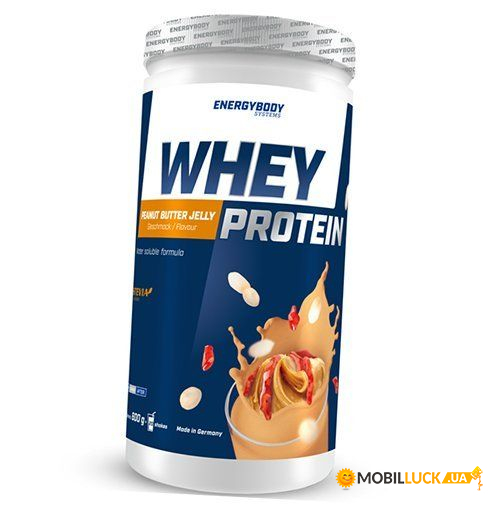     Energy Body Whey Protein 600   (29149004)