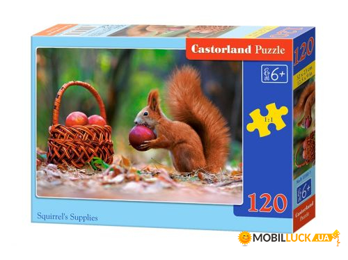  Castorland  120  (-13302)