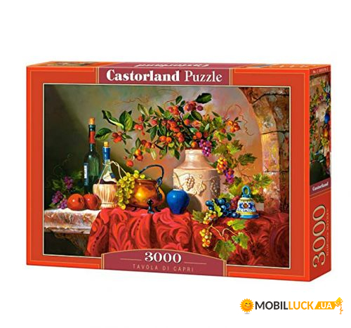  Castorland  3000  (C-300570)