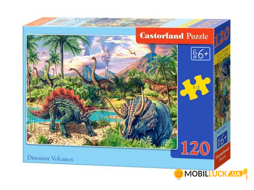  Castorland  120  (-13234)