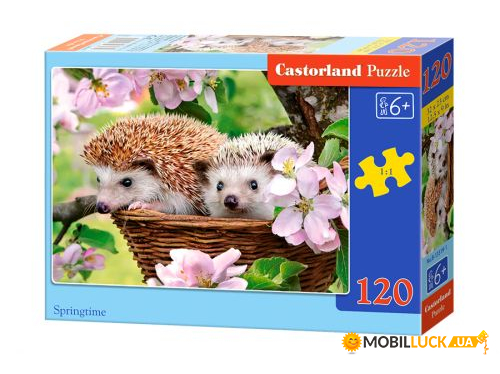  Castorland  120  (-13319)