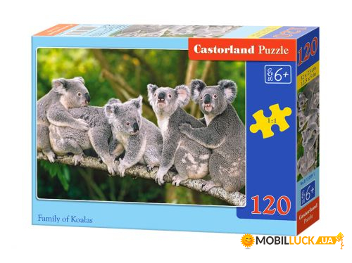  Castorland  120  (-13289)