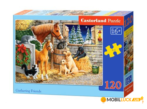  Castorland  120  (-13340)