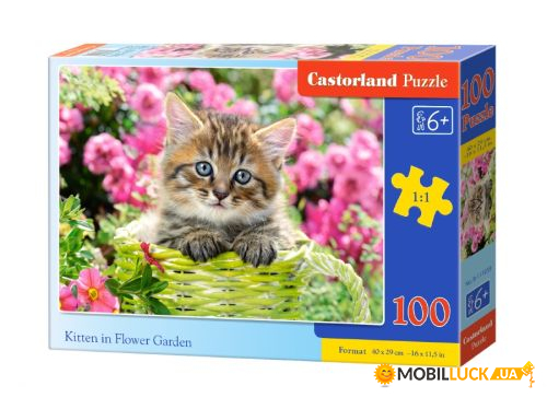  Castorland  100  (B-111039)