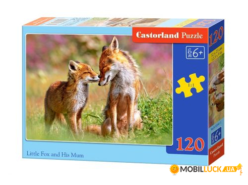  Castorland  120  (-13241)