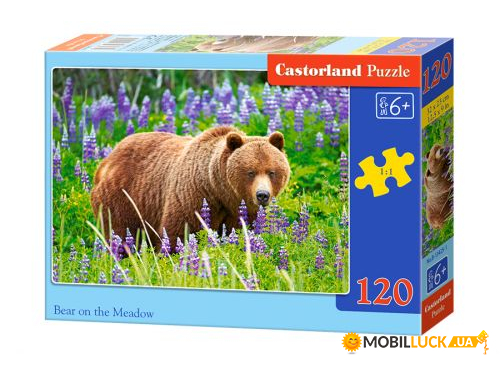  Castorland  120  (-13425)