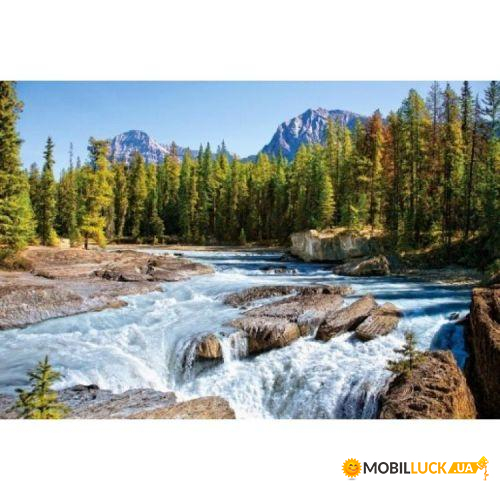   , Athabasca river, Jasper National Park, Canada, 1500  -150762