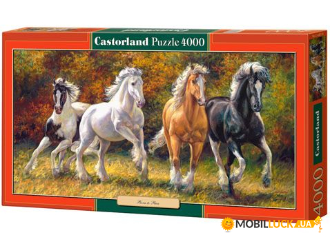  Castorland  (4000 ) (-400119)