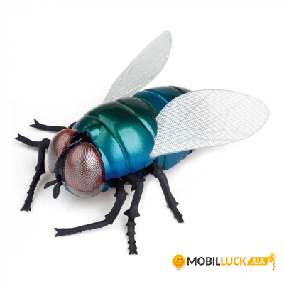   Best Fun Toys Giant Fly (6337204)