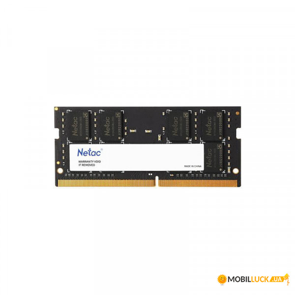 '  Netac DDR4 16GB 2666 (NTBSD4N26SP-16)