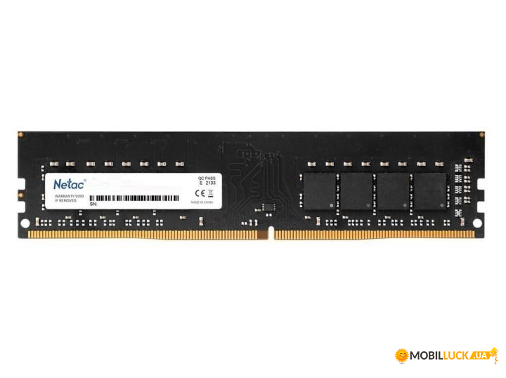 '  Netac DDR4 16GB 2666 (NTBSD4P26SP-16)