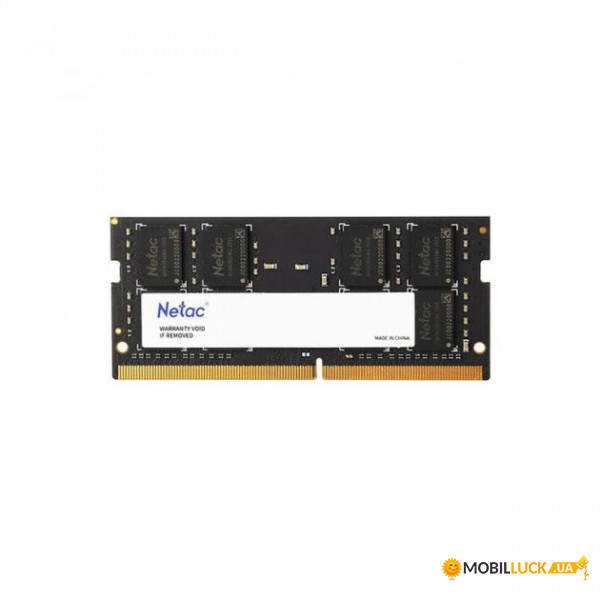 '  Netac DDR4 16GB 3200 (NTBSD4N32SP-16)