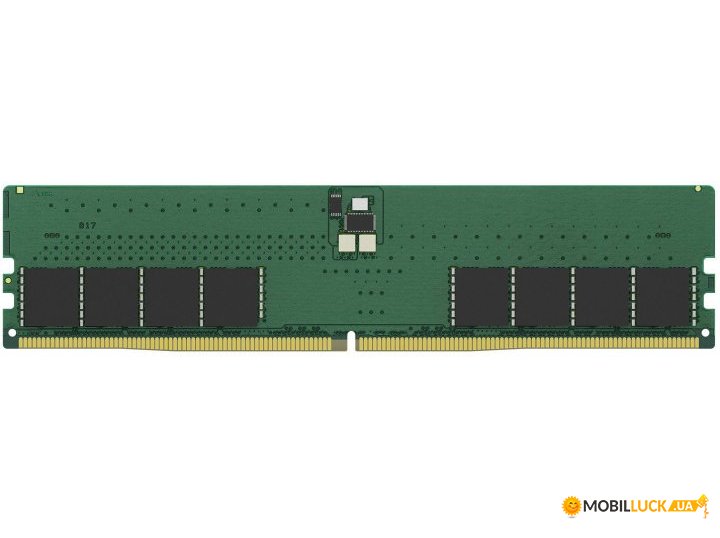 '  Kingston DDR5 32GB 5600 (KVR56U46BD8-32)