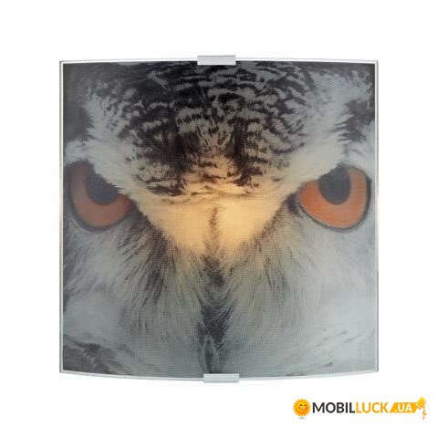   Markslojd 105242 Owl 6342