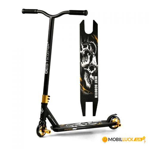   Best Scooter  (BS-71105)