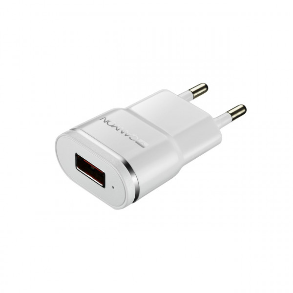   Canyon 1USB 1A White Silver (CNE-CHA01WS)