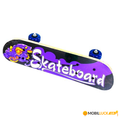    Skateboard  (F22224)