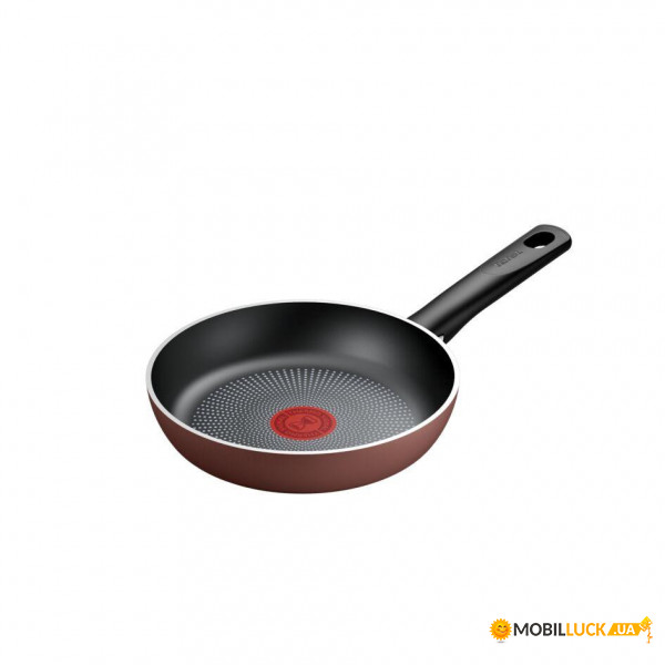  Tefal Resource 20  (C2950253)