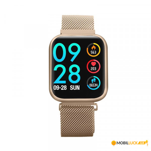   Smart watch band bracelet P80   Gold (SB0001P80G)