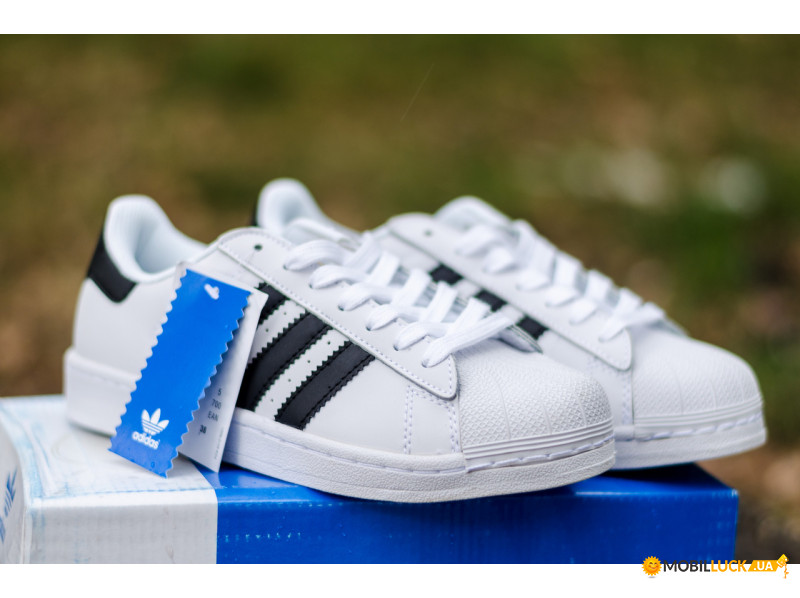  Adidas Superstar White Gold (  -)    : 36-45 , 39, /